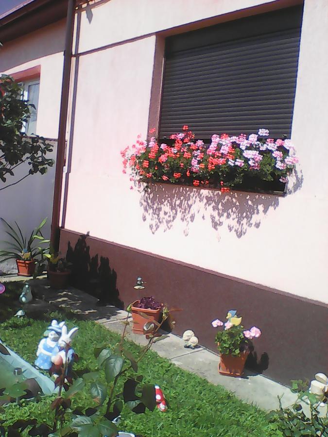 Apartamento Mary Sibiu